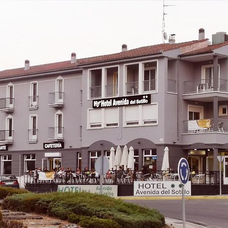 Hotel Avenida Del Sotillo La Lastrilla Buitenkant foto